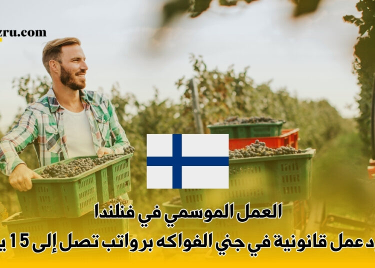 العمل الموسمي في فنلندا 2027