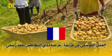 العمل الموسمي في فرنسا