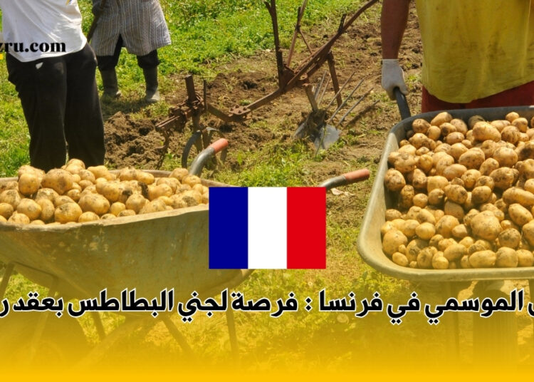 العمل الموسمي في فرنسا